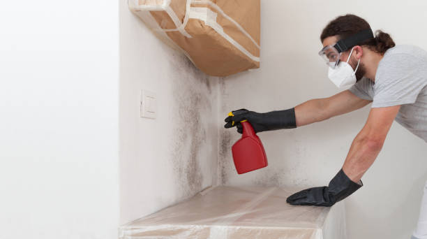 Professional Black Mold Remediation technician working in Peabody, MA