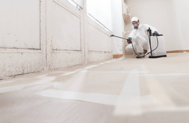 24/7 Emergency Black Mold Remediation experts in Peabody, MA